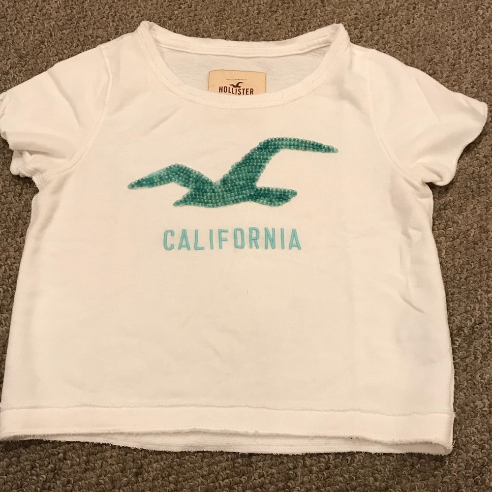 Sequin Hollister Crop Top